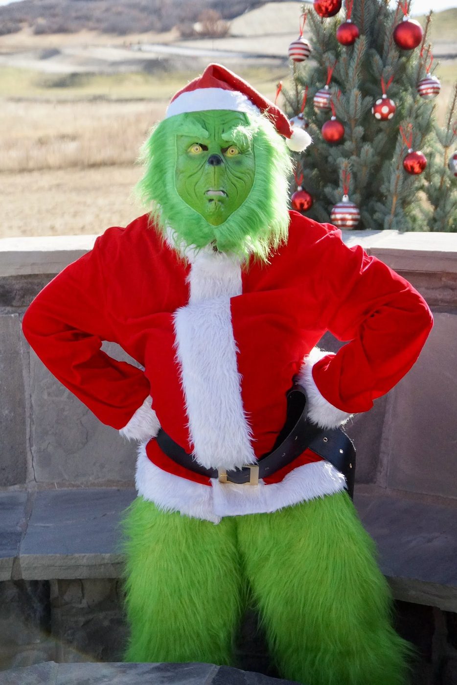 The Grinch in a Santa suit posing by the Christmas tree